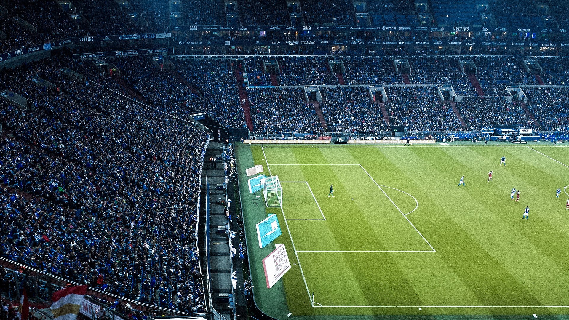 体育赛事观众行为特征分析，体育比赛的观众用英文怎么说