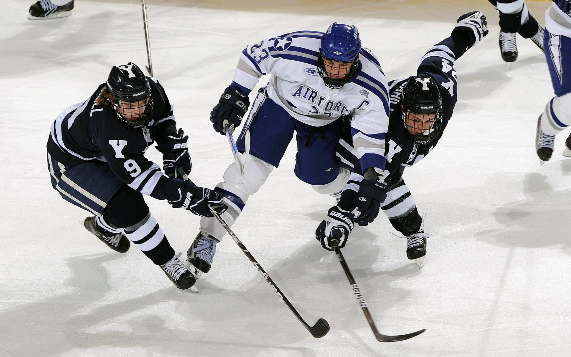 国内联赛观赛人数创新高体育热情持续升温，体育赛事观众人数排行